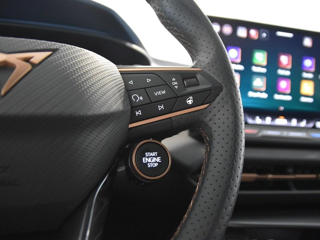 CUPRA Terramar 1.5 eTSI DSG 110 kW (150 CV) - 17