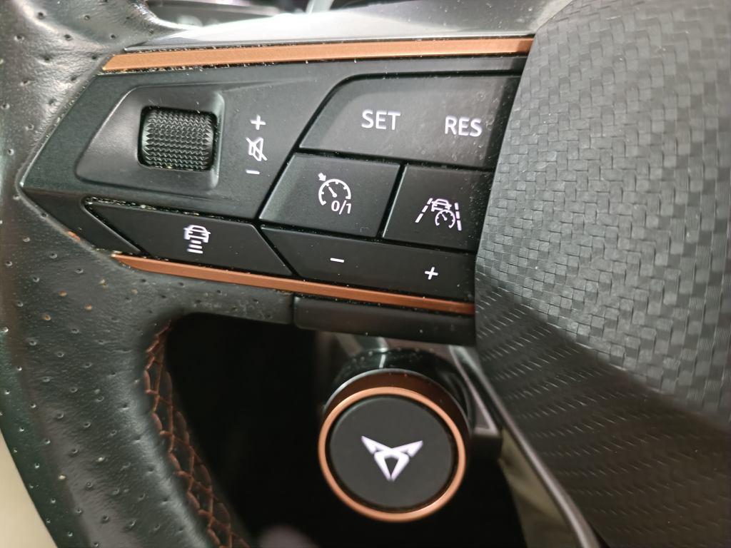 CUPRA Formentor 2.0 TSI VZ 4Drive DSG 228 kW (310 CV) - 8