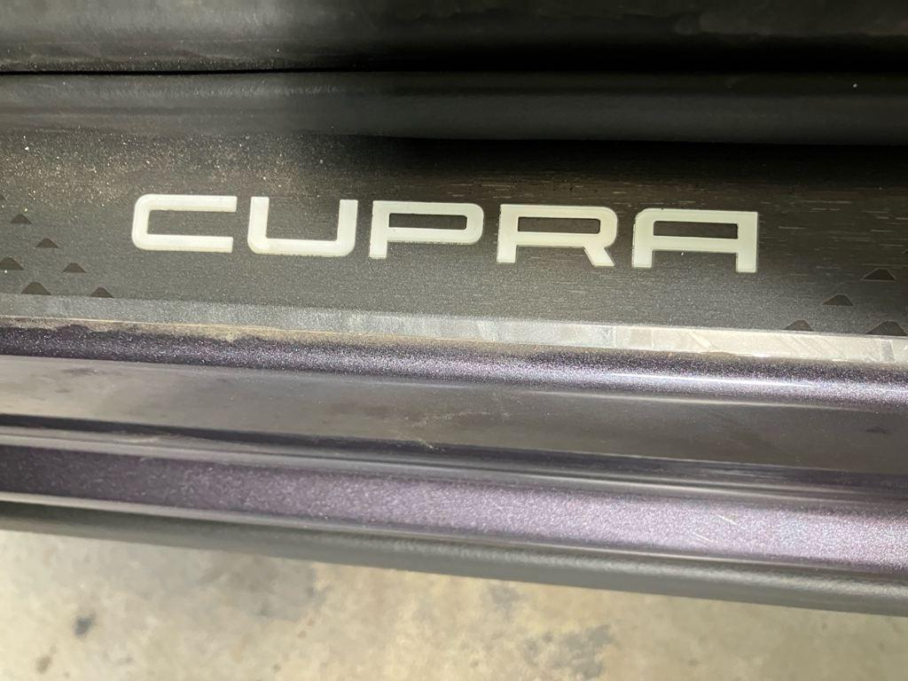 CUPRA Terramar 1.5 eTSI DSG 110 kW (150 CV) - 14