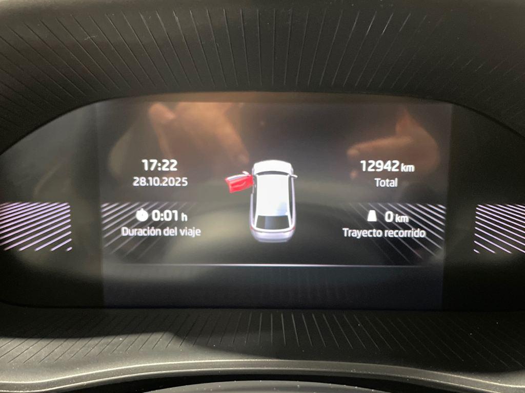 Skoda Fabia 1.0 TSI Selection DSG 85 kW (115 CV) - 16