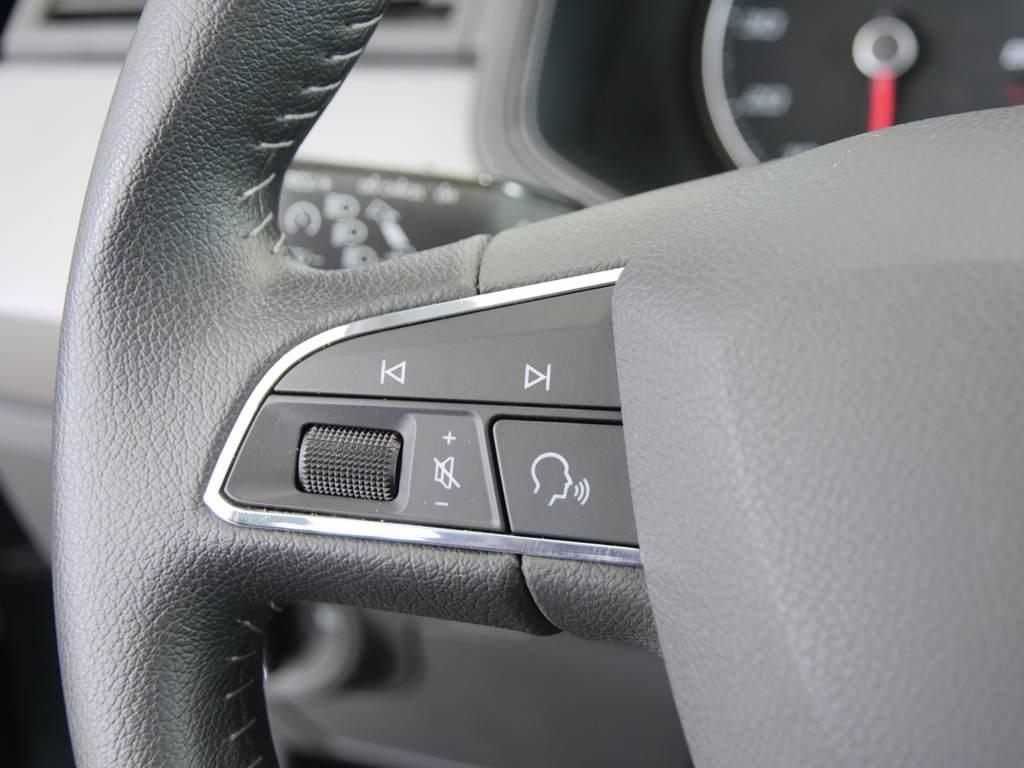 SEAT Ibiza 1.0 TSI Special Edition 85 kW (115 CV) - 8