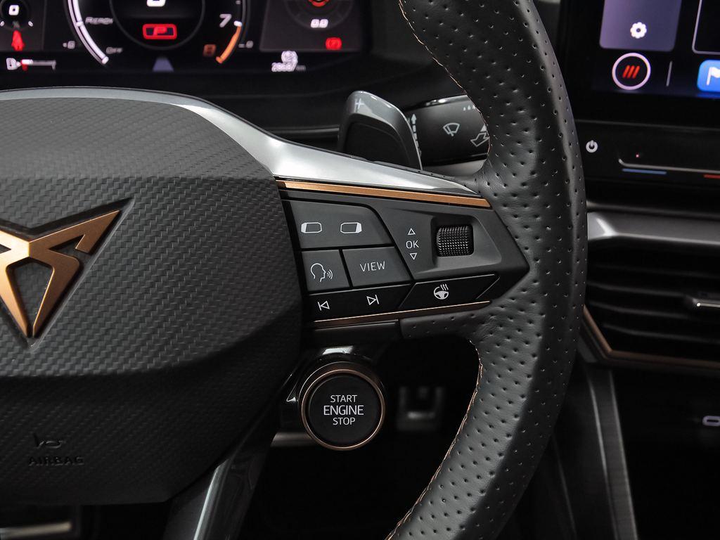 CUPRA Formentor 2.5 TSI VZ5 4Drive DSG 287 kW (390 CV) - 12