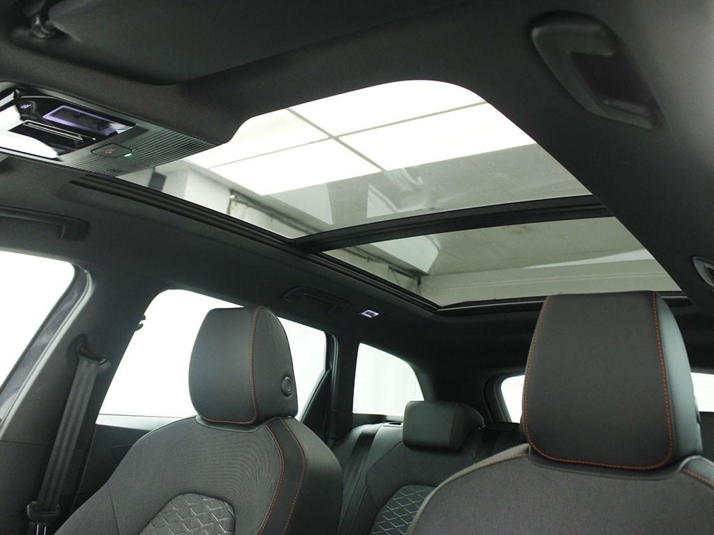 SEAT León ST 2.0 TDI S&S FR XS DSG 110 kW (150 CV) - 13