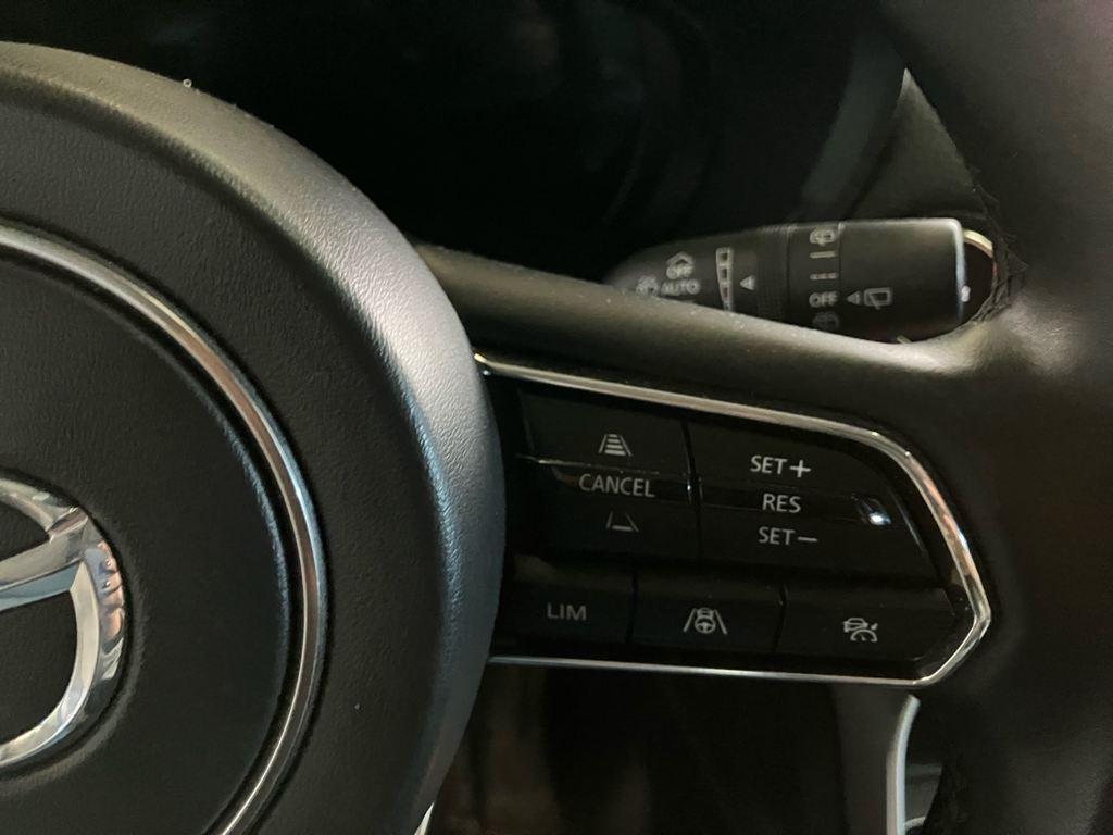 Mazda CX-60 e-Skyactiv PHEV Homura AWD 241 kW (327 CV) - 13