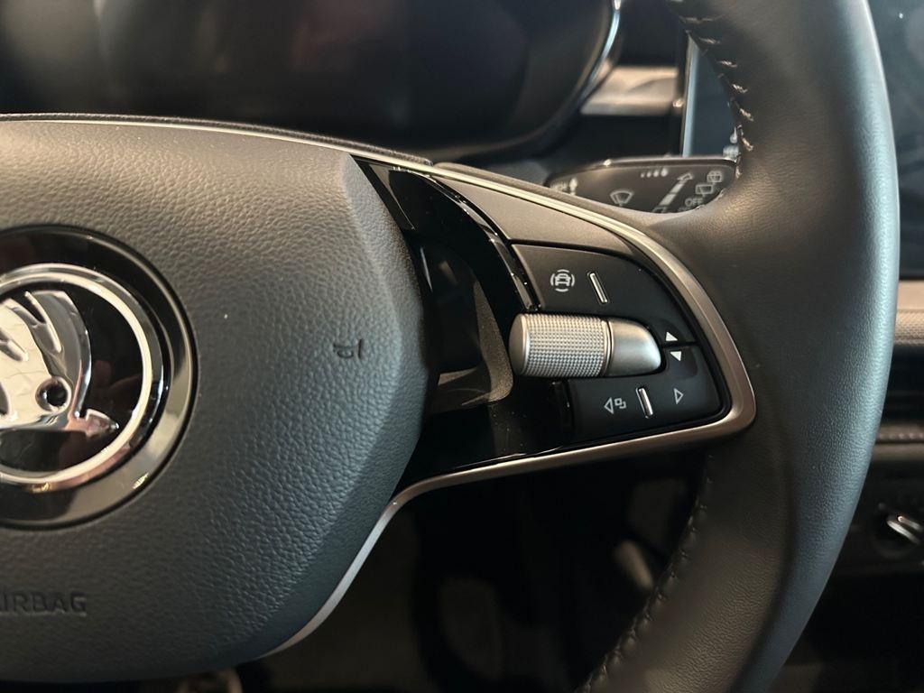 Skoda Fabia 1.0 TSI Selection 70 kW (95 CV) - 13