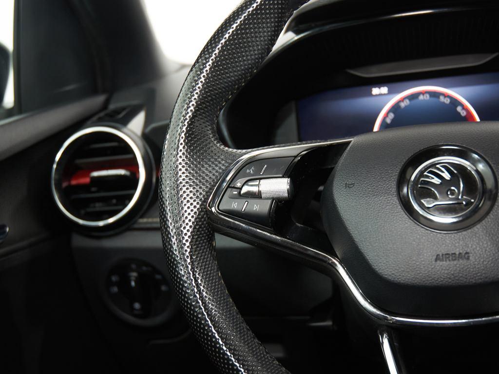 Skoda Fabia 1.0 TSI Monte Carlo 81 kW (110 CV) - 12