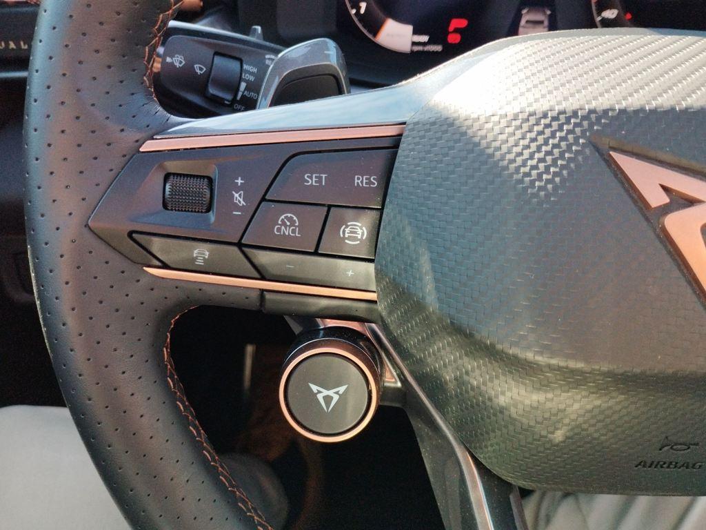 CUPRA Terramar 1.5 eTSI DSG 110 kW (150 CV) - 19