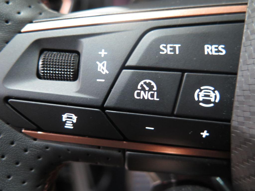 CUPRA Formentor 1.5 eTSI DSG 110 kW (150 CV) - 9