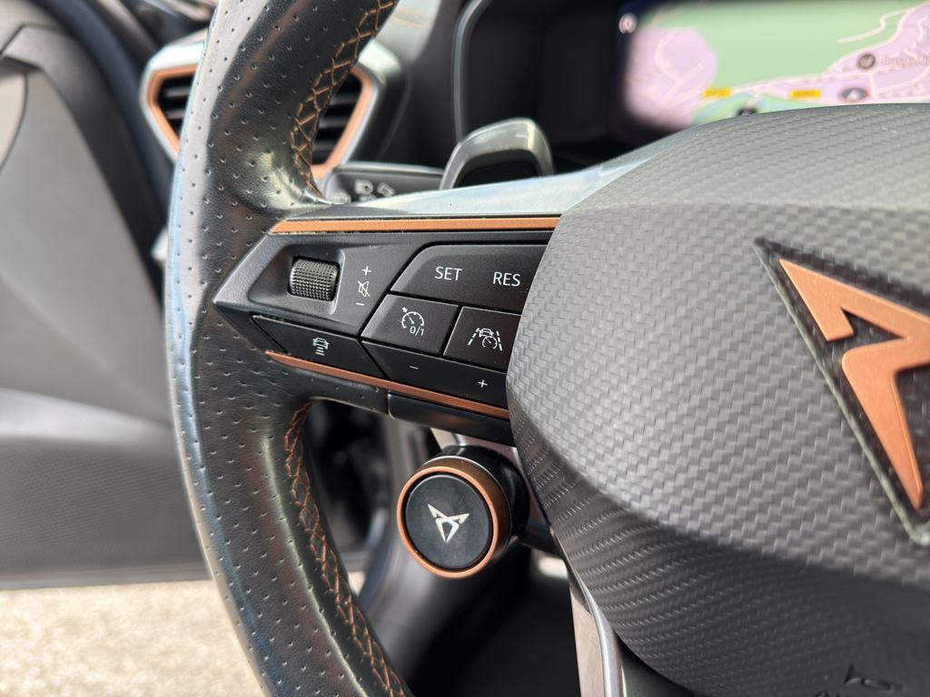 CUPRA Formentor 2.0 TSI VZ 4Drive DSG 228 kW (310 CV) - 12