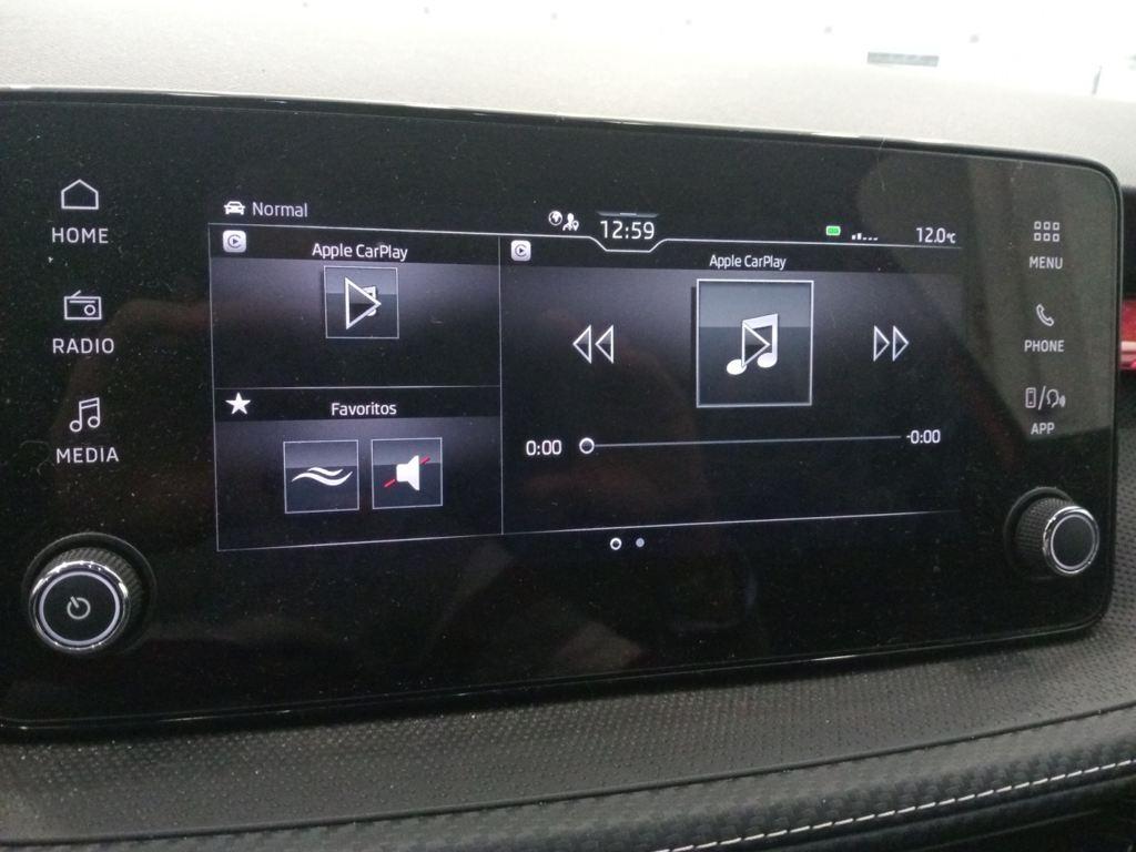 Skoda Fabia 1.0 TSI Monte Carlo DSG 85 kW (115 CV) - 18