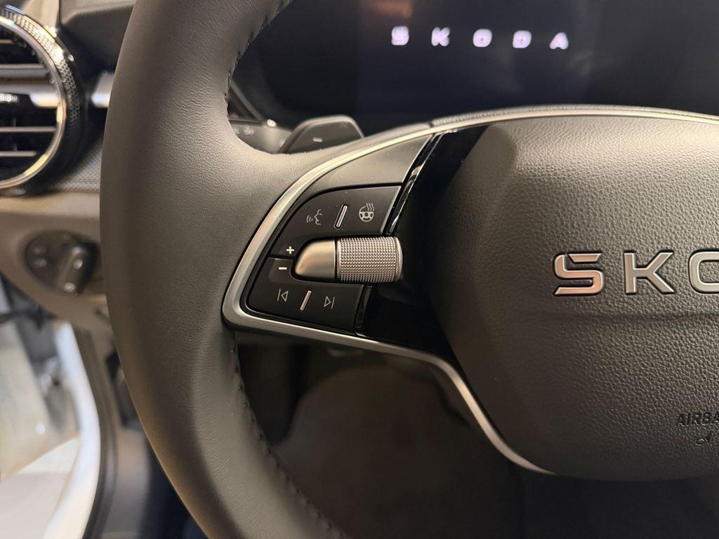 Skoda Fabia 1.0 TSI Selection DSG 85 kW (115 CV) - 8