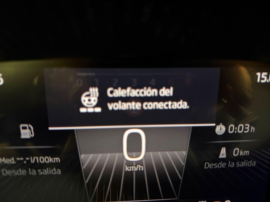 Skoda Fabia 1.0 TSI Selection DSG 85 kW (115 CV) - 19