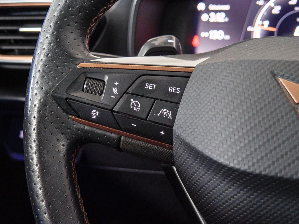 CUPRA Formentor 2.0 TSI 4Drive DSG 140 kW (190 CV) - 14