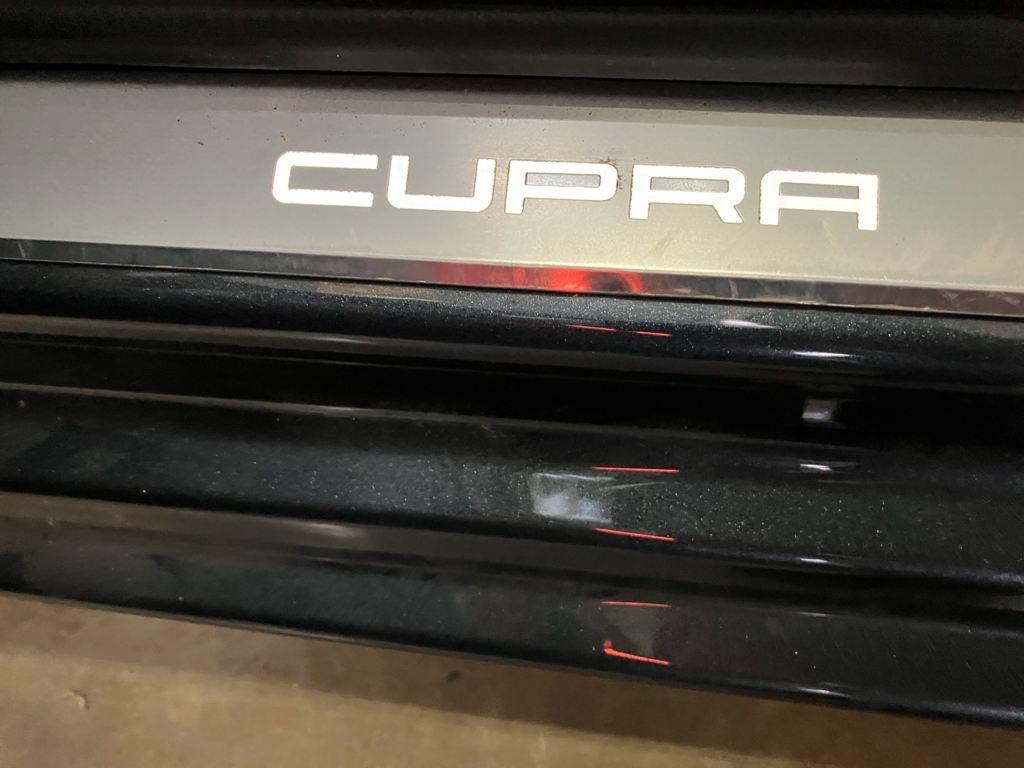 CUPRA León 1.5 eTSI DSG 110 kW (150 CV) - 14