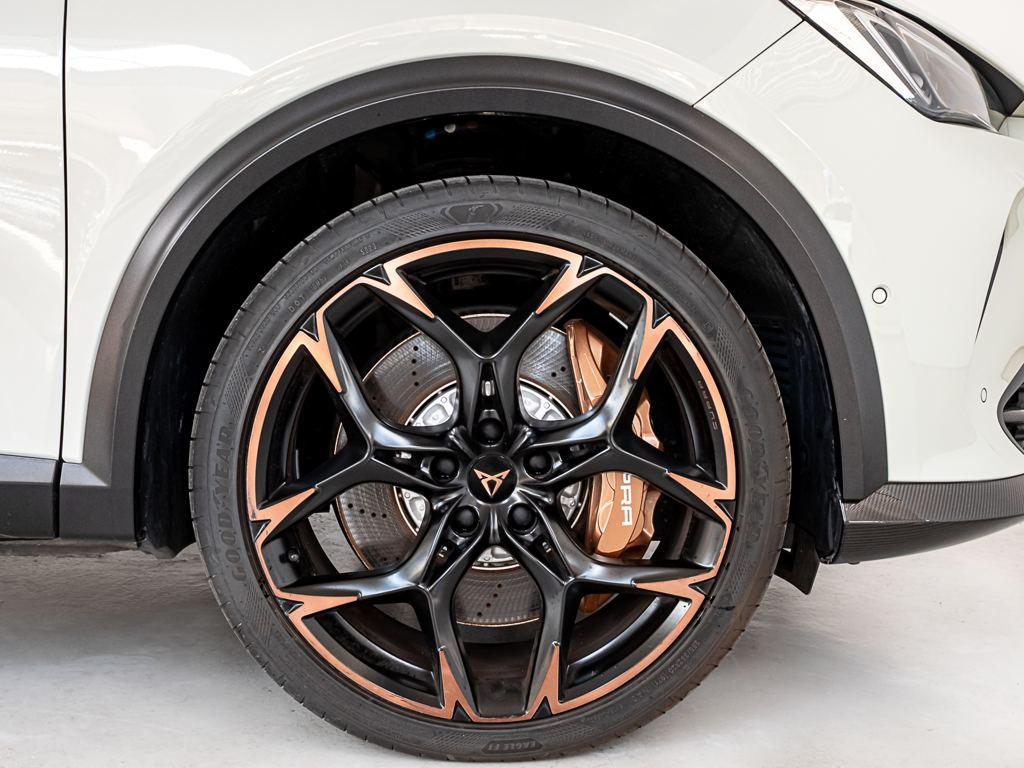 CUPRA Formentor 2.5 TSI VZ5 Taiga Grey 4Drive DSG 287 kW (390 CV) - 7