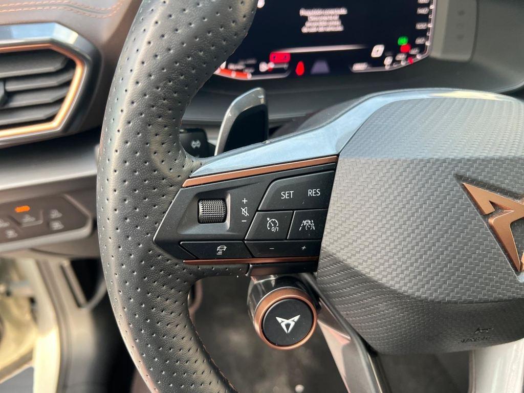 CUPRA Formentor 2.5 TSI VZ5 Taiga Grey 4Drive DSG 287 kW (390 CV) - 6