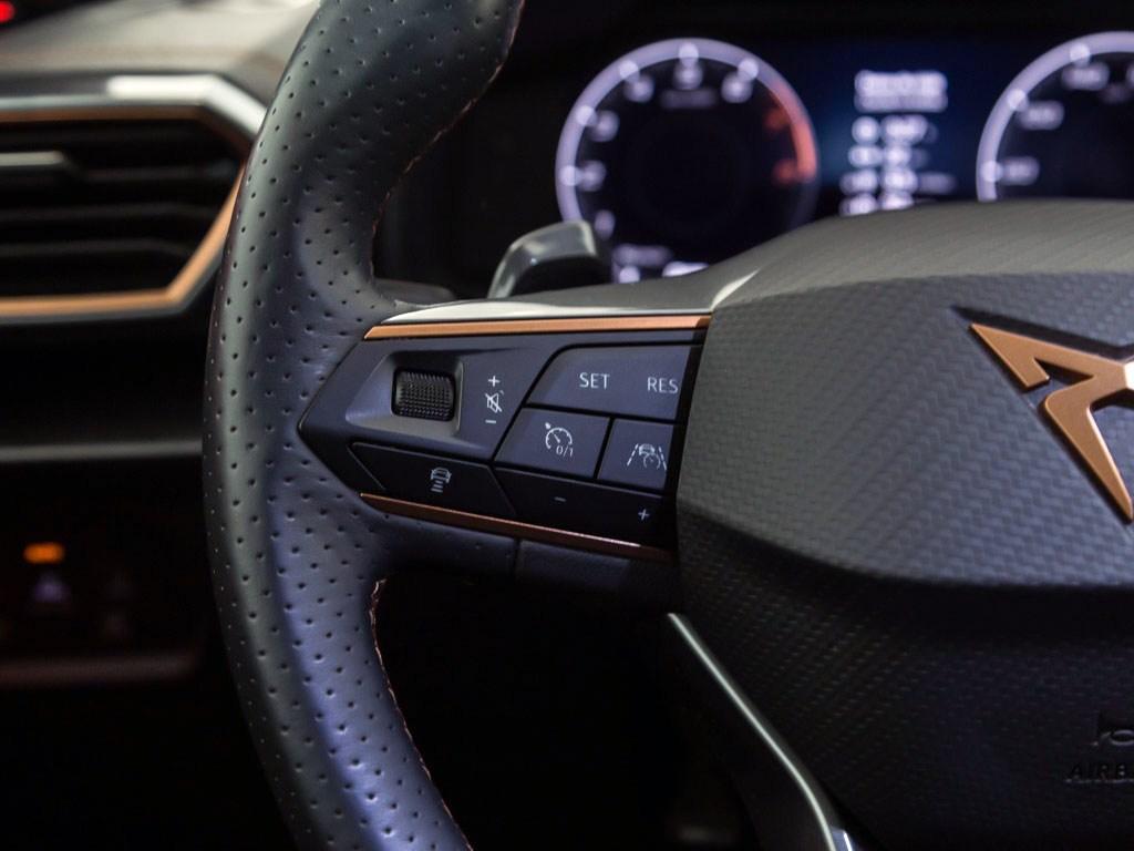 CUPRA Formentor 1.5 TSI DSG 110 kW (150 CV) - 10