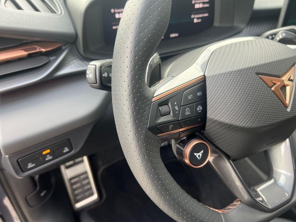 CUPRA Terramar 2.0 TSI VZ DSG 4 Drive 195 kW (265 CV) - 10