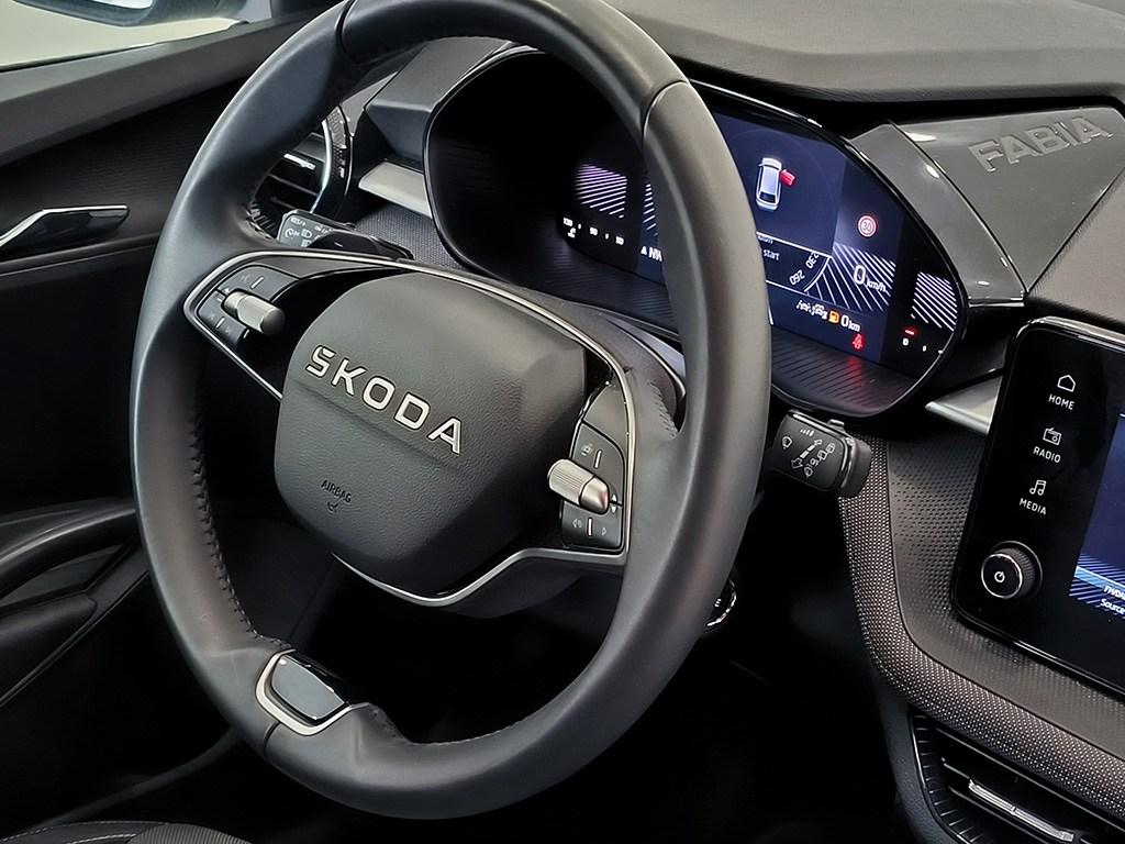 Skoda Fabia 1.0 TSI Selection DSG 85 kW (115 CV) - 12