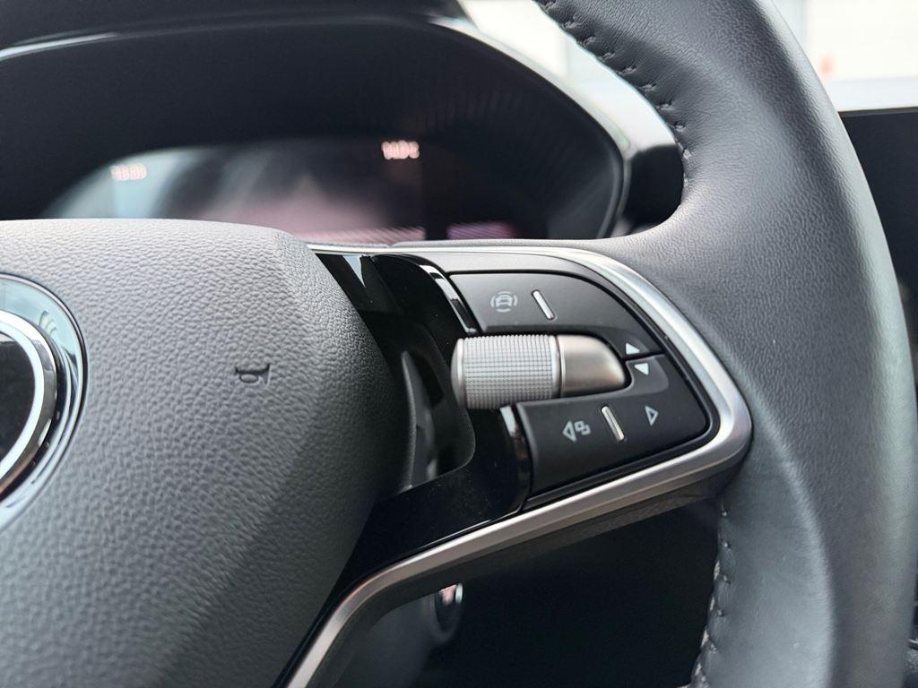 Skoda Fabia 1.0 TSI Selection 70 kW (95 CV) - 9