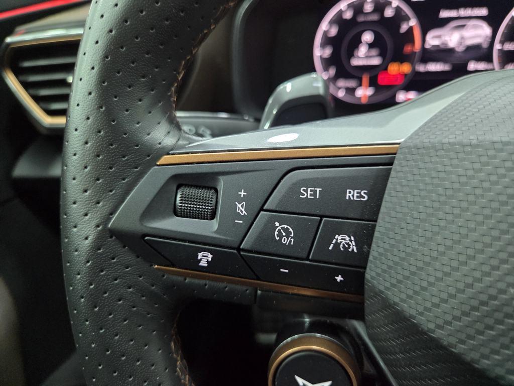 CUPRA Formentor 2.5 TSI VZ5 Taiga Grey 4Drive DSG 287 kW (390 CV) - 11