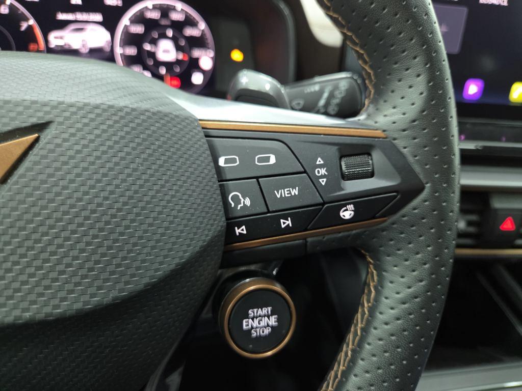 CUPRA Formentor 2.5 TSI VZ5 Taiga Grey 4Drive DSG 287 kW (390 CV) - 12