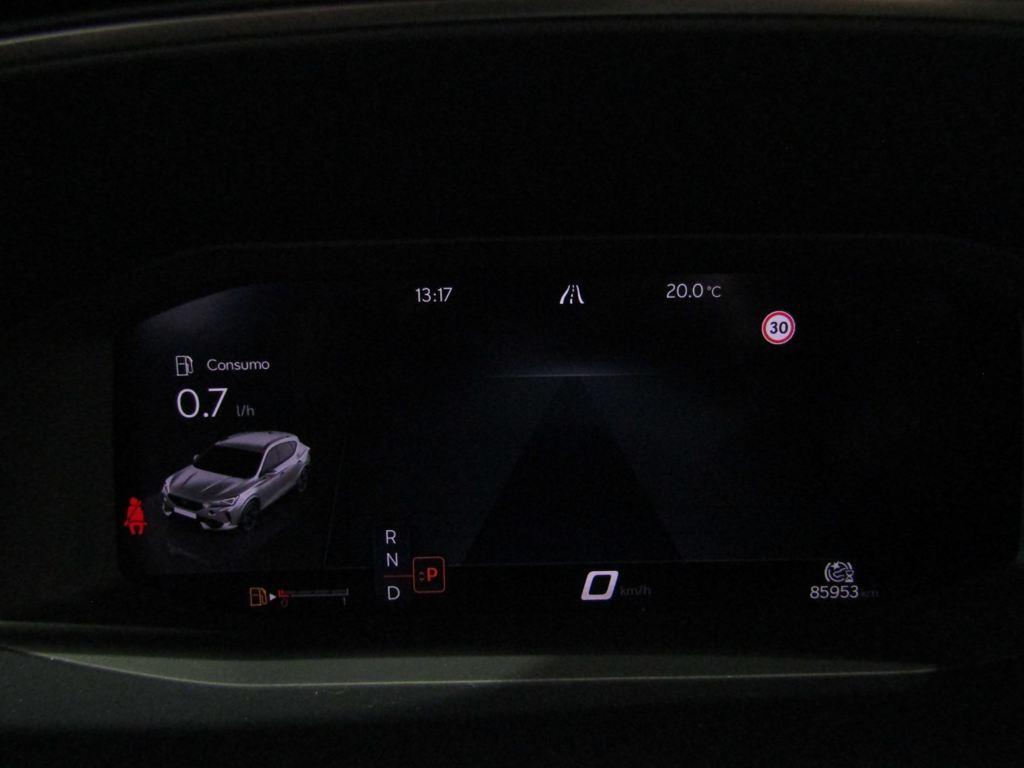 CUPRA Formentor 2.0 TDI 4Drive DSG 110 kW (150 CV) - 9