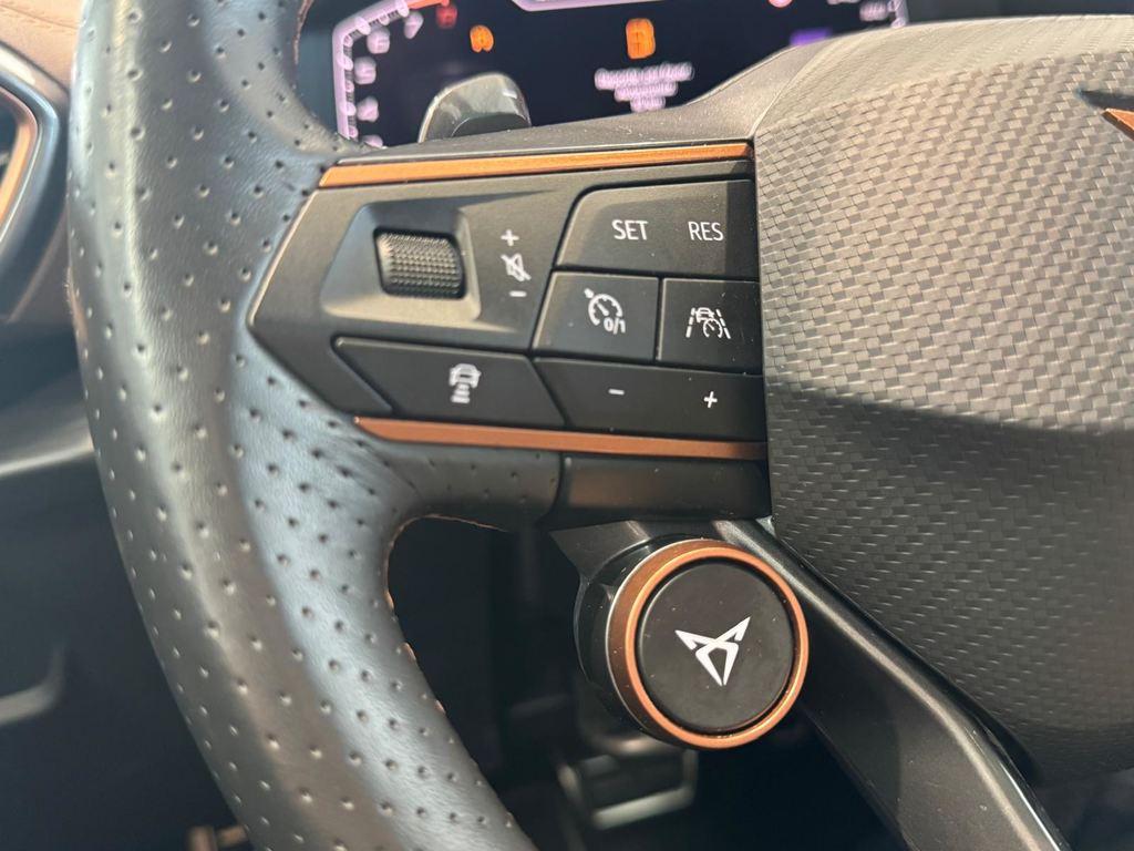 CUPRA Formentor 2.5 TSI VZ5 Taiga Grey 4Drive DSG 287 kW (390 CV) - 8