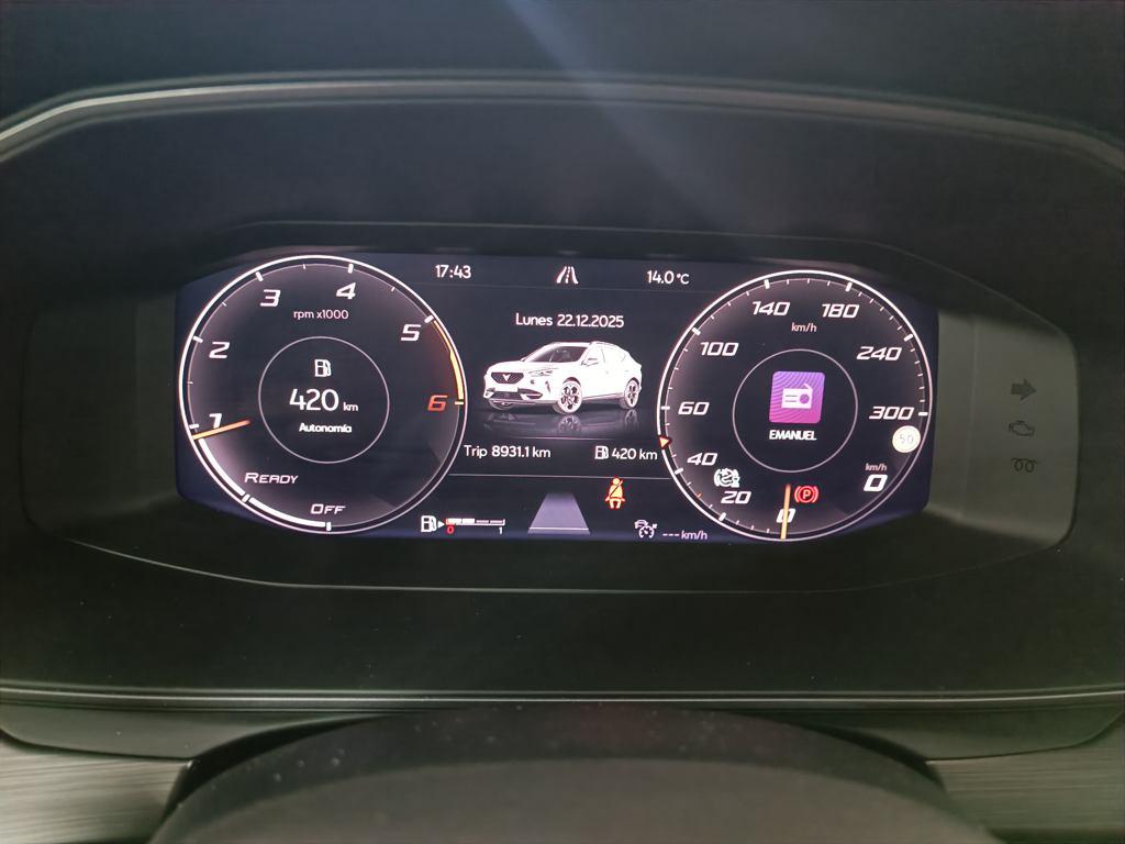 CUPRA Formentor 2.0 TDI 110 kW (150 CV) - 14