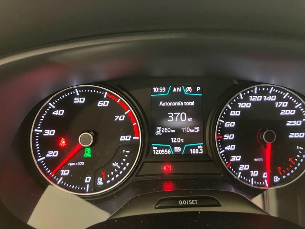 SEAT León ST 1.5 TGI GNC Xcellence Edition Plus DSG7 96 kW (130 CV) - 15