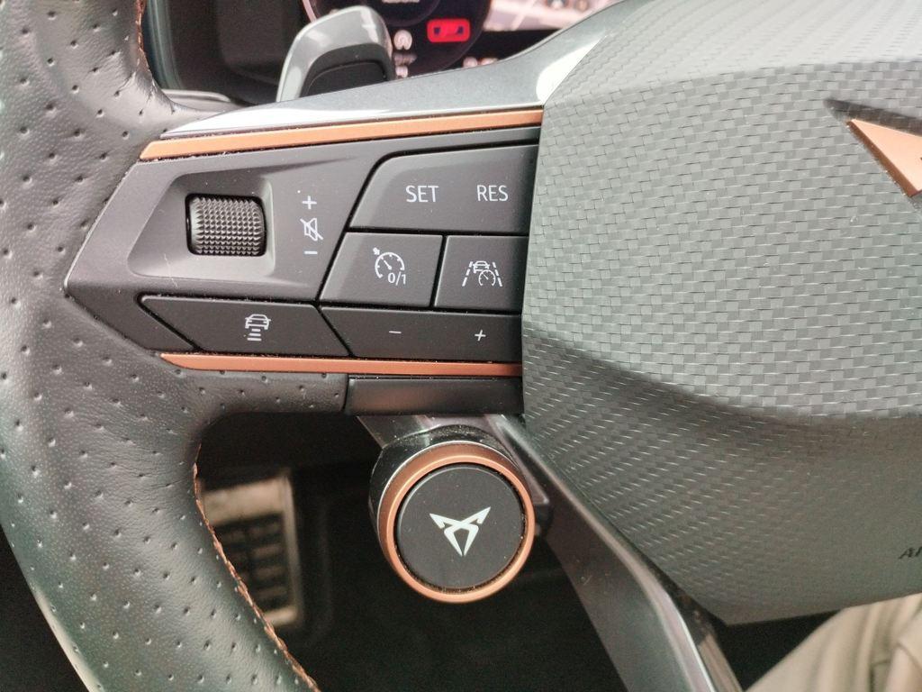 CUPRA Formentor 2.0 TSI VZ 4Drive DSG 228 kW (310 CV) - 18