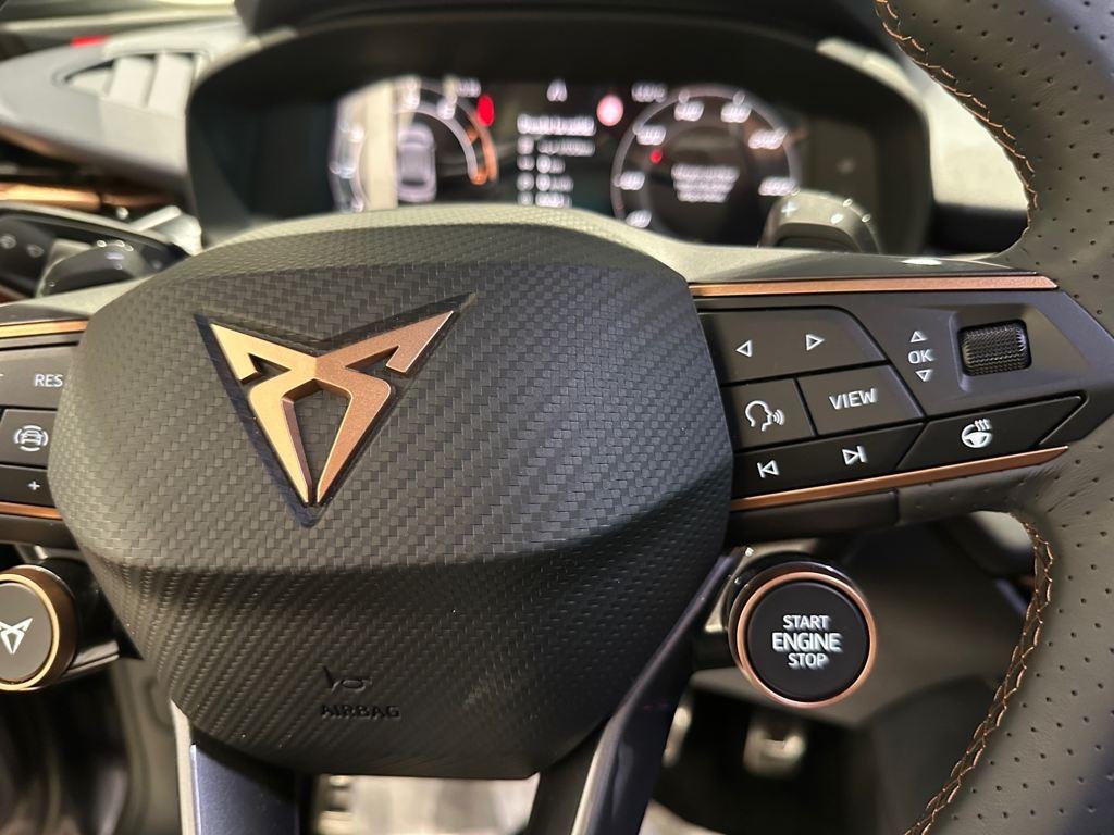 CUPRA Terramar 1.5 eTSI DSG 110 kW (150 CV) - 13