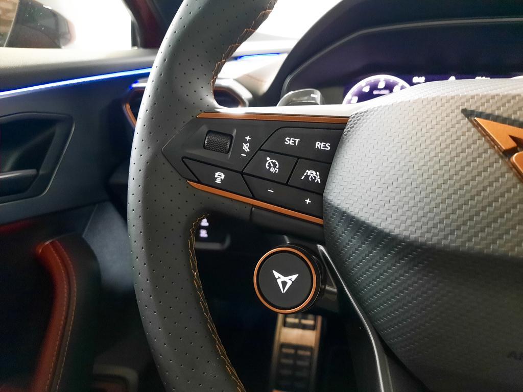 CUPRA Formentor 2.0 TSI VZ DSG 180 kW (245 CV) - 10