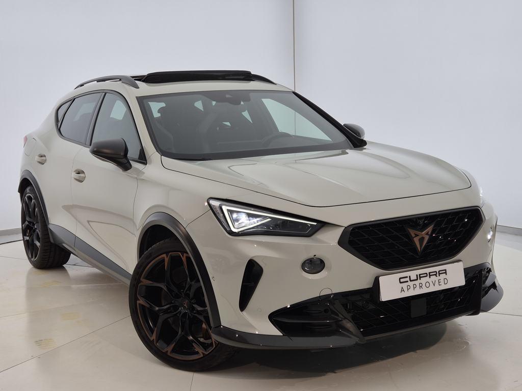 CUPRA Formentor 2.5 TSI VZ5 Taiga Grey 4Drive DSG 287 kW (390 CV) - 13