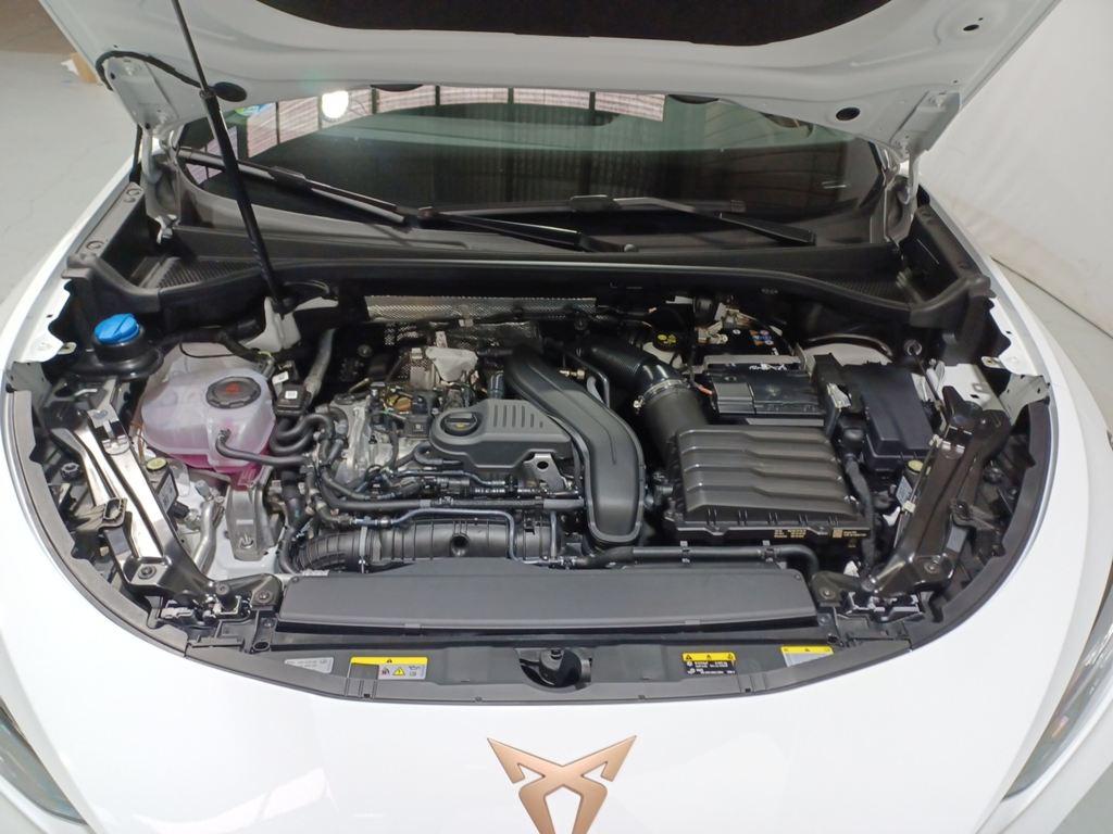 CUPRA Terramar 1.5 eTSI DSG 110 kW (150 CV) - 15