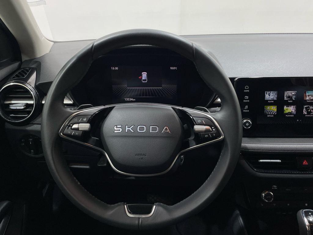 Skoda Fabia 1.0 TSI Selection DSG 85 kW (115 CV) - 14