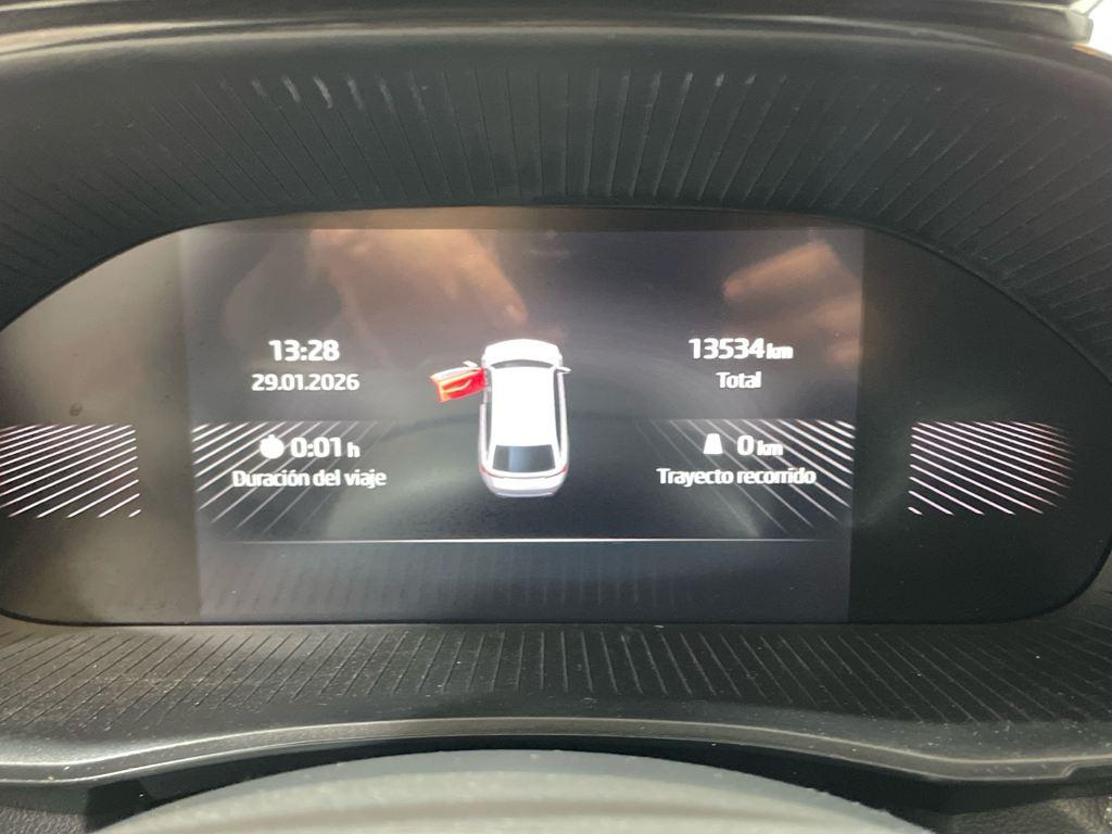 Skoda Fabia 1.0 TSI Selection DSG 85 kW (115 CV) - 16