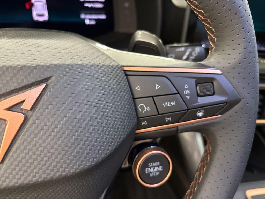 CUPRA Formentor 2.0 TDI DSG 110 kW (150 CV) - 9