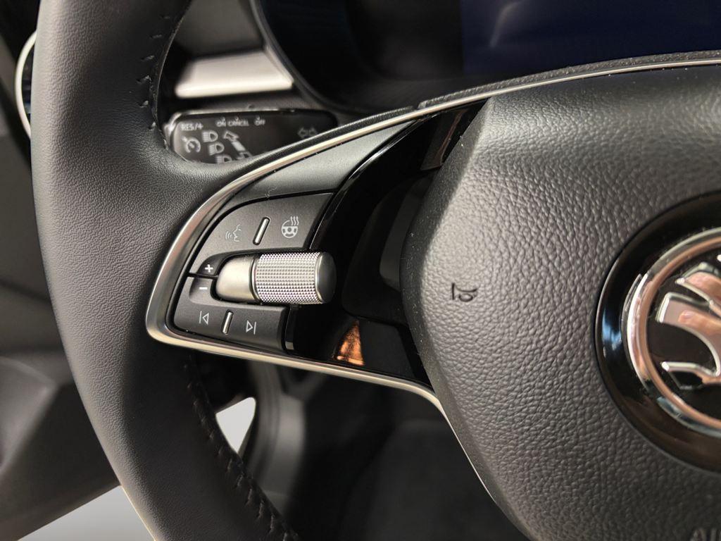 Skoda Fabia 1.0 TSI Selection 85 kW (115 CV) - 10