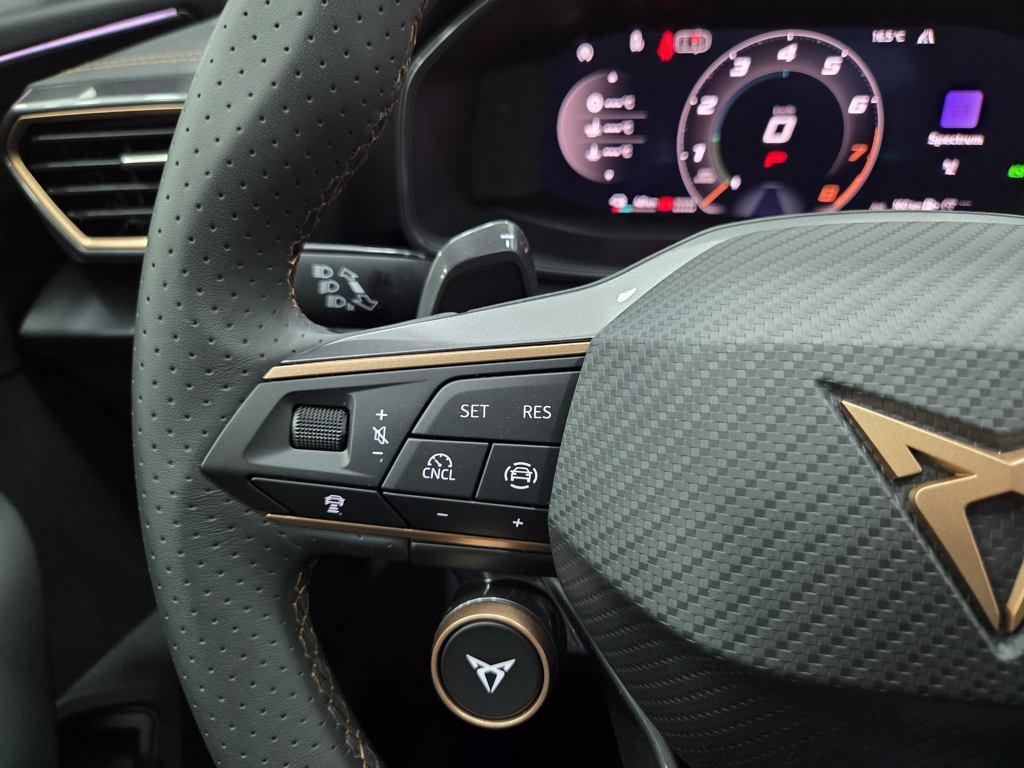 CUPRA Formentor 1.5 TSI e-Hybrid DSG 150 kW (204 CV) - 13