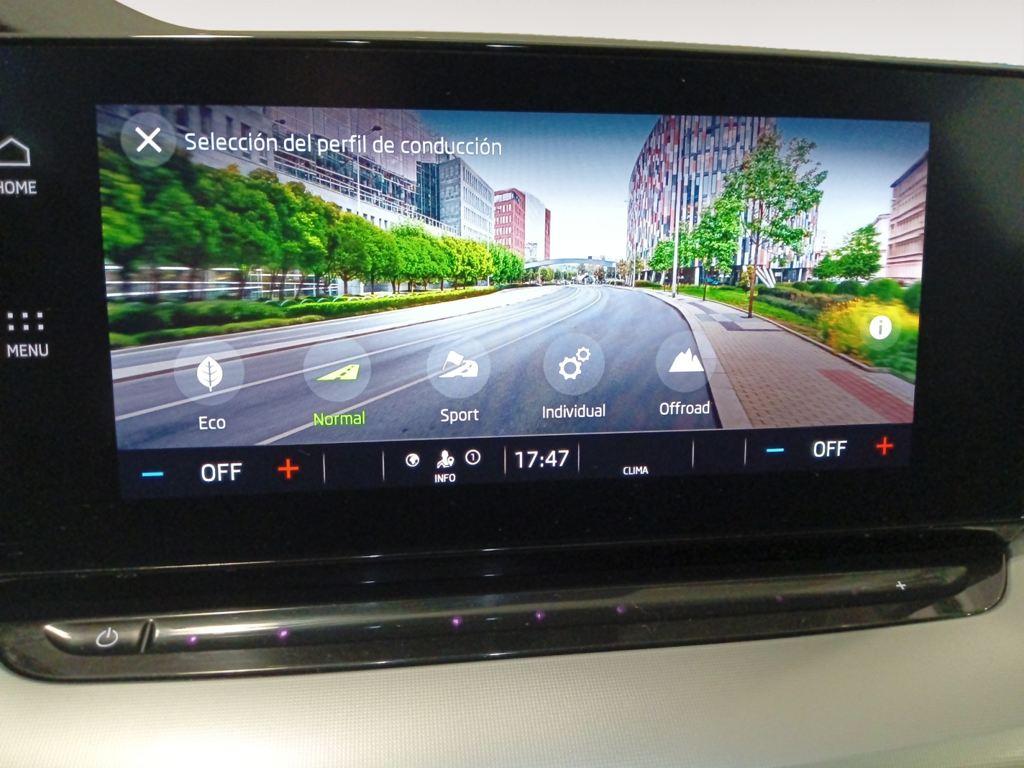 Skoda Octavia Combi 2.0 TDI Scout 4x4 DSG 110 kW (150 CV) - 13