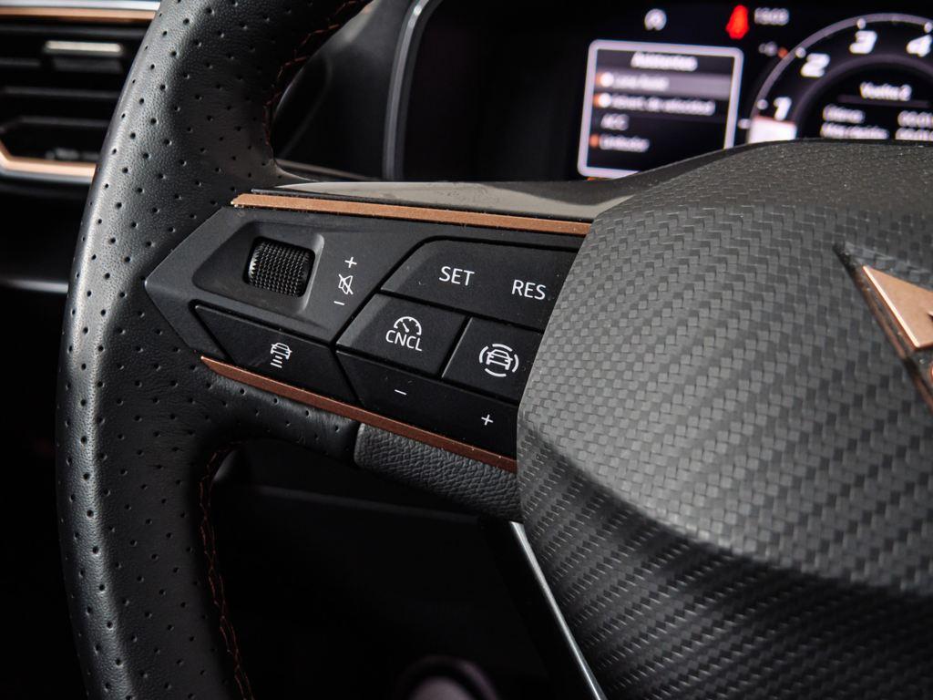 CUPRA Formentor 1.5 TSI 110 kW (150 CV) - 13