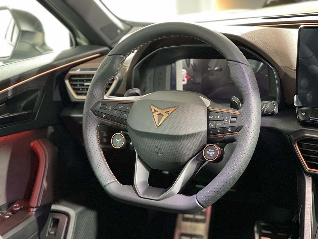 CUPRA Formentor 2.5 TSI VZ5 Taiga Grey 4Drive DSG 287 kW (390 CV) - 8