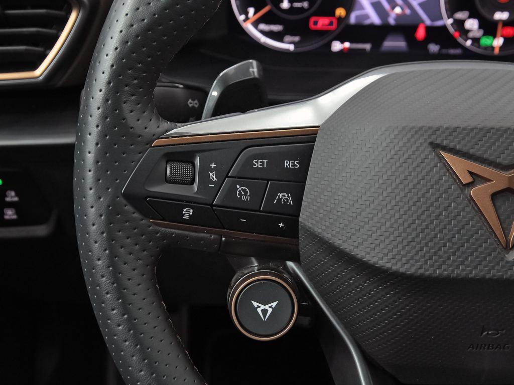 CUPRA Formentor 2.5 TSI VZ5 Taiga Grey 4Drive DSG 287 kW (390 CV) - 17