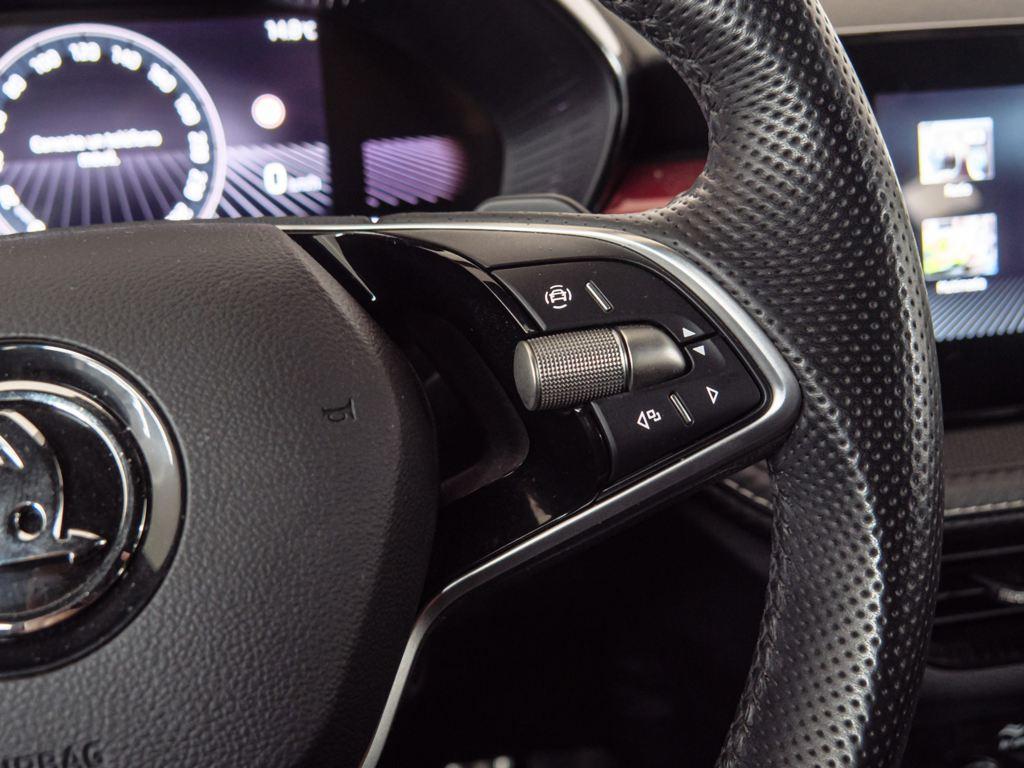 Skoda Fabia 1.0 TSI Monte Carlo DSG 85 kW (115 CV) - 14