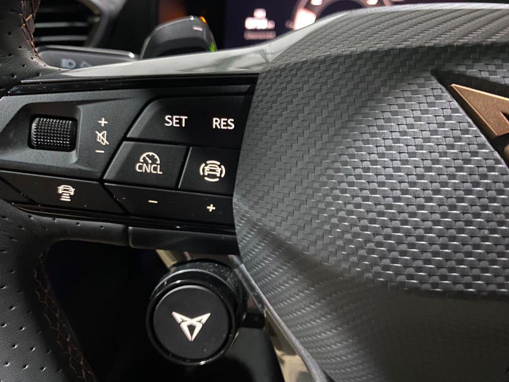 CUPRA Formentor 2.0 TSI VZ Extreme 4 Drive DSG 245 kW (333 CV) - 9