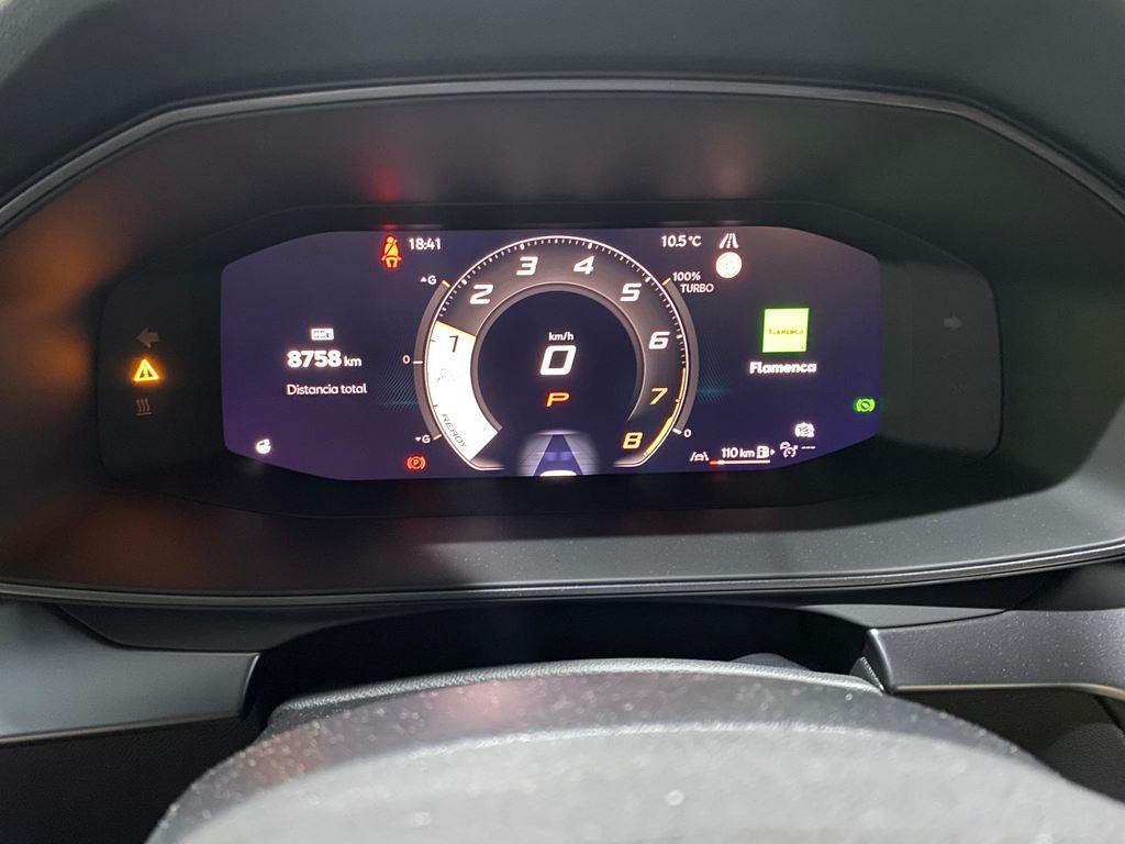 CUPRA Formentor 2.0 TSI VZ Extreme 4 Drive DSG 245 kW (333 CV) - 13