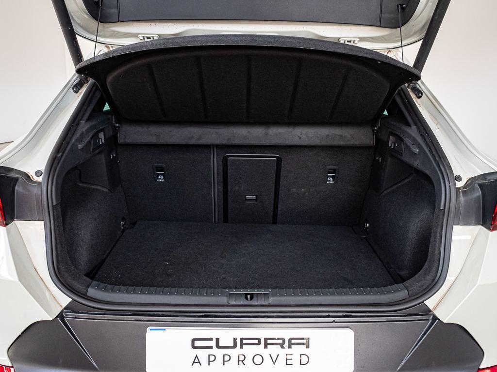 CUPRA Formentor 2.5 TSI VZ5 Taiga Grey 4Drive DSG 287 kW (390 CV) - 6