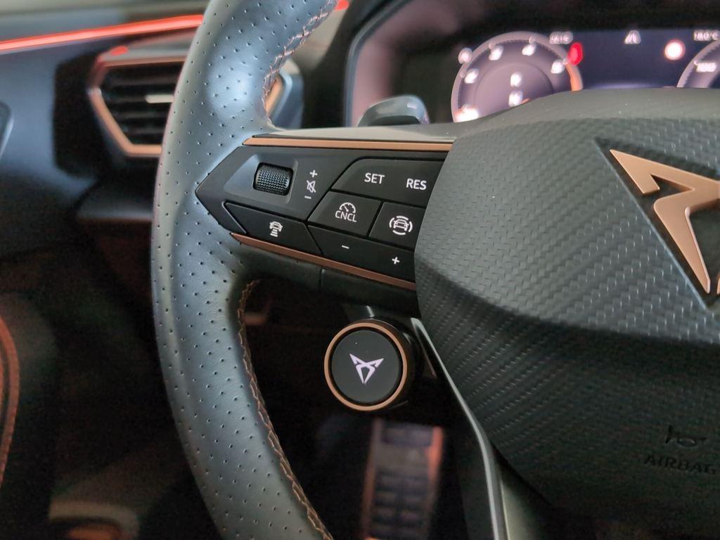 CUPRA Formentor 2.0 TDI DSG 110 kW (150 CV) - 16