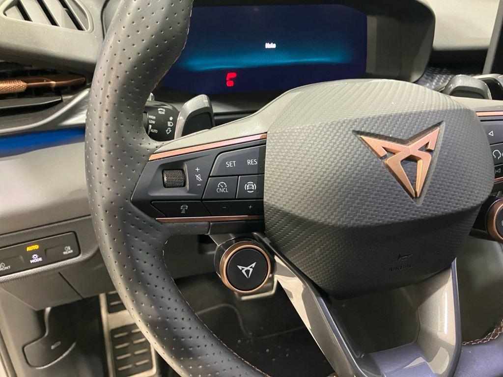 Cupra Terramar 2.0 TSI Americas Cup Edition 4 Drive DSG 195 kW (265 CV) - 8